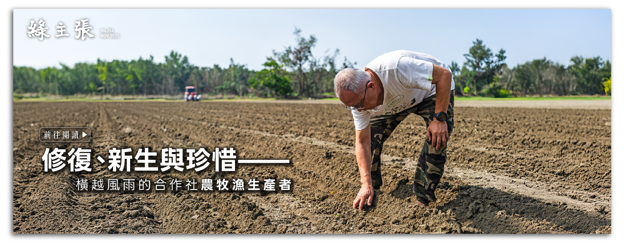 綠主張BN-2025年11月_官網BN